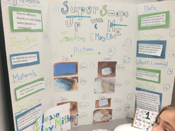 Pin by Lanette Tango on 6th grade science (With images) | Science fair