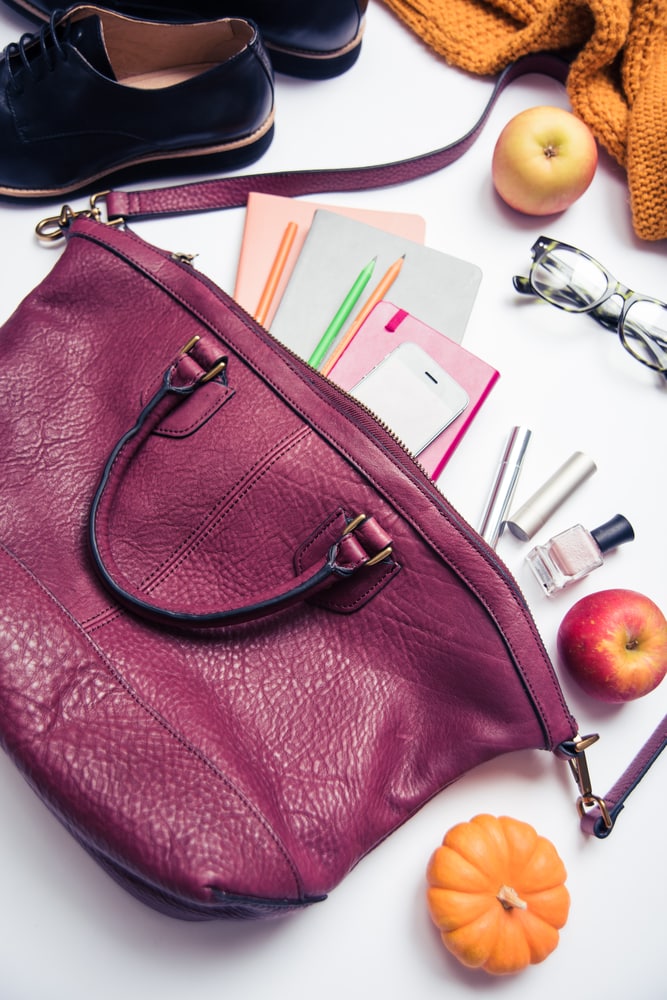 Best Purses for Moms in 2020 Reviews and Buying Guide